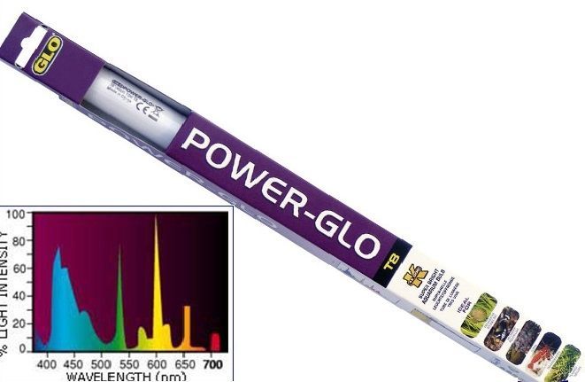 Power Glo 20 Вт.