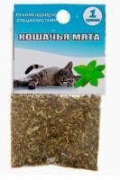 ддщ