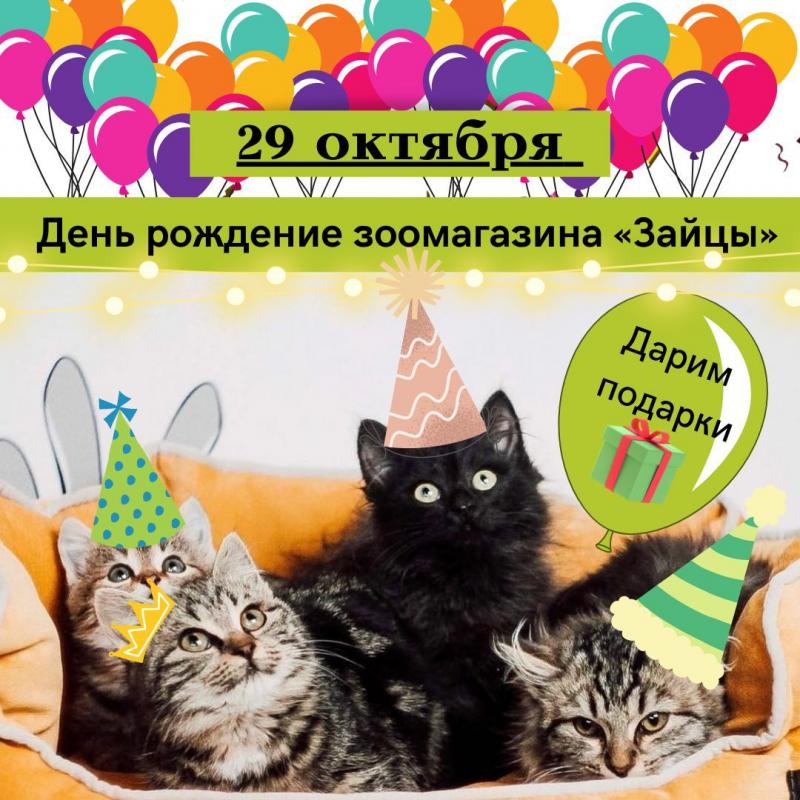 ДЕНЬ РОЖДЕНИЯ ЗАЙЦЕВ