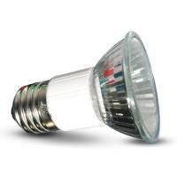 Лампа галогеновая мини HL001 35Вт Repti-Zoo