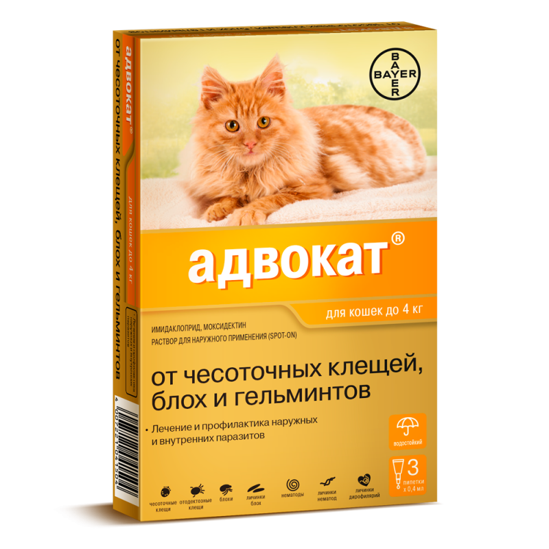 fa4c1f07dbd354d4993096543cd28dbb