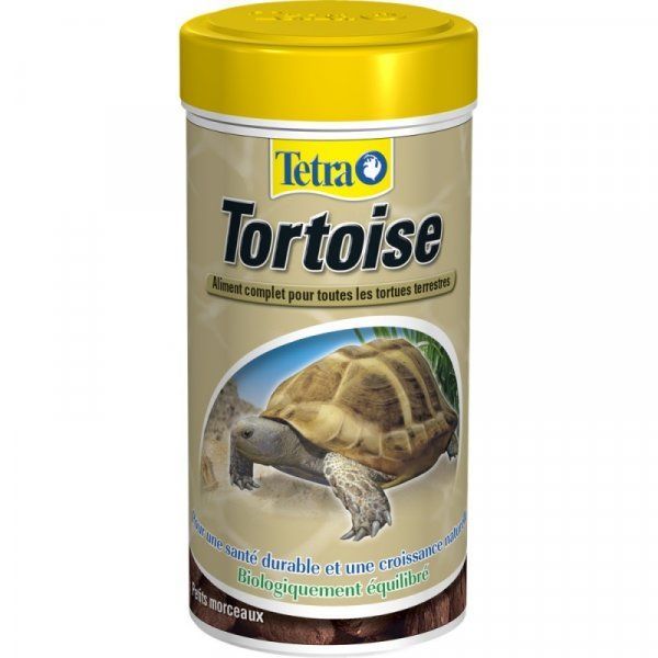 tetrafauna_tortoise_1l_948260_3
