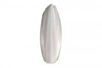 Панцирь каракатицы 12 см(натуральный)