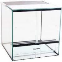 Без названия (4)