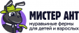 Мистер Ант