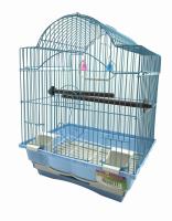 image_05_02_21_09_17_7