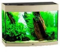 Без названия