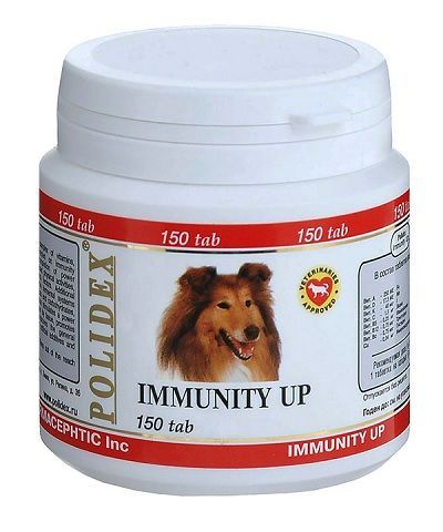 Полидекс иммунити Ап д/с 150 т