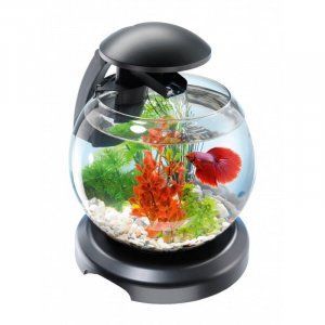 Аквариум Tetra Cascade Globe 6,8л круглый черный