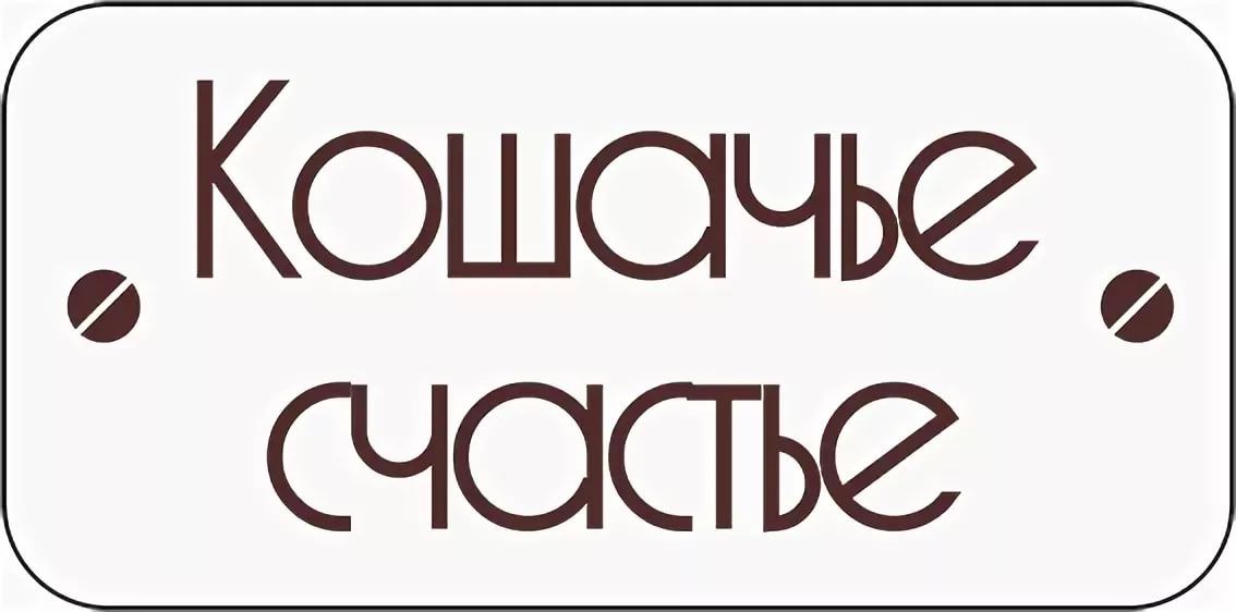 Кошачье счастье Кошачье счастье