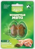 Кошачья мята Альпийские луга мышки 2 шт.