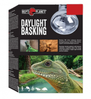 Безымянный