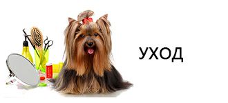 Уход