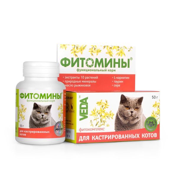 Фитомины д/к кастр/стер. 100таб