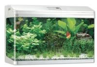 Аквариум Jebo 193 л. 900х480х615 мм.