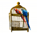 Клетки для птиц