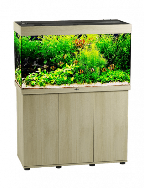 Аквариум Biodesign Риф 240 225 л. беленый дуб