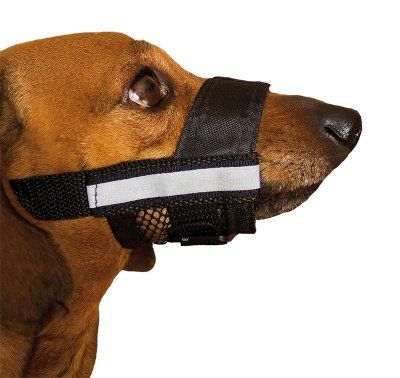 Намордник Дарэлл рег.нейлон №0, 9-13см со светоотр.лентой