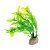 Людвигия салатовая 20 см