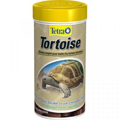 tetrafauna_tortoise_1l_948260_3