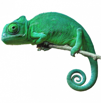 Хамелеон