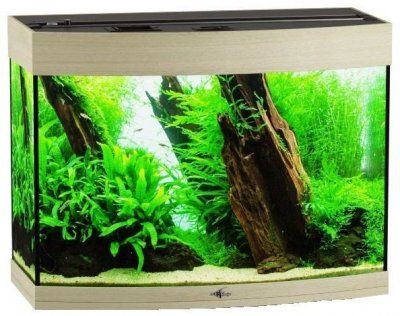 Аквариум Biodesign Панорама 60 