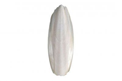 Панцирь каракатицы 12 см(натуральный)