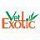 VetExotic