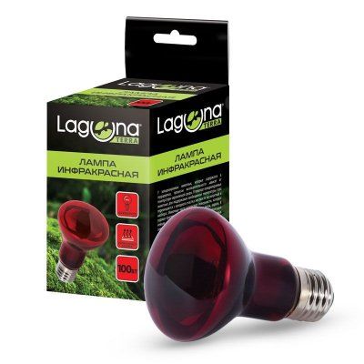 good-d559f7ec-5999-11ec-bbb5-1866da6865b2