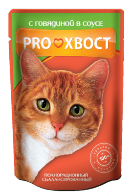 Прохвост д/к 100гр (говядина в соусе)