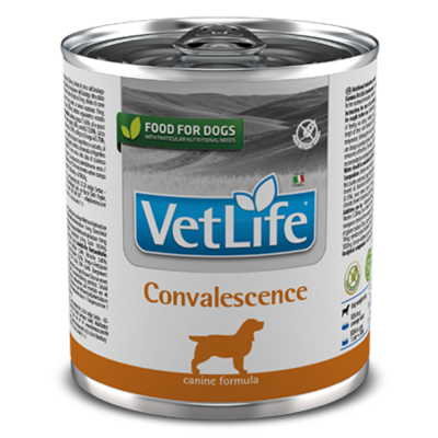 Вет Лайф дс Конвалесценсе 300 гр.