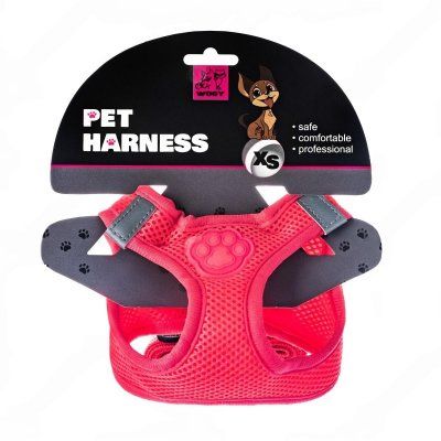 DeWatermark.ai_1756958982632