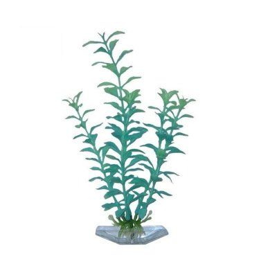 21