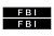 Сменная надпись малая  для шлейки FBI 1-2 размера