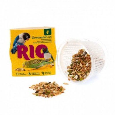 8d9b58f8-093e-11eb-8242-c46e1f00d571_1eb07aad-1dd3-11eb-9773-c46e1f00d571-0-1-1-500x500