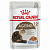 Корм для кошек Royal Canin Ageing 12+ Роял Канин для стареющих кошек старше 12 лет в желе 85 г пауч*
